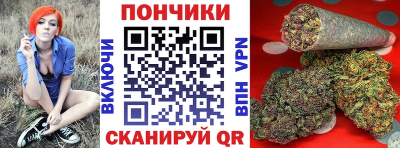 где можно купить Змеиногорск Конопля семена